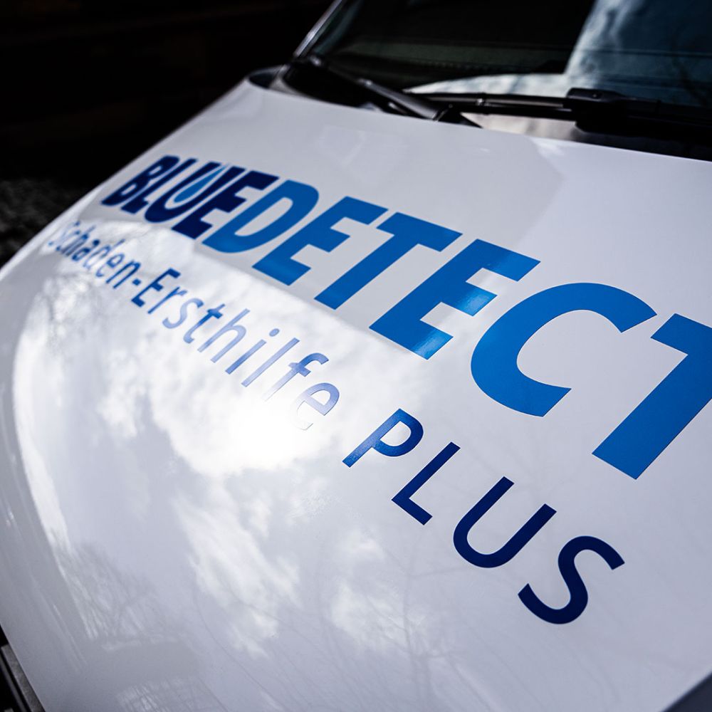 Franchisepartner bei Blue Detect werden | Österreich und Deutschland | der Region Darmstadt/Aschaffenburg
